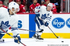 Red WIngs vs Leafs Dec 15 2017 (31)