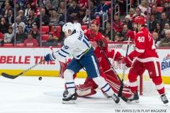 Red WIngs vs Leafs Dec 15 2017 (32)