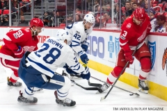 Red WIngs vs Leafs Dec 15 2017 (33)