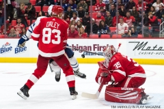 Red WIngs vs Leafs Dec 15 2017 (41)