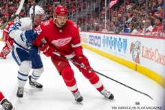 Red WIngs vs Leafs Dec 15 2017 (42)