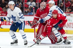 Red WIngs vs Leafs Dec 15 2017 (8)