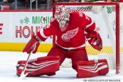 Red WIngs vs Leafs Dec 15 2017 (9)