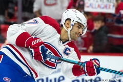 Red Wings vs Montreal Dec 1 2017 (1)