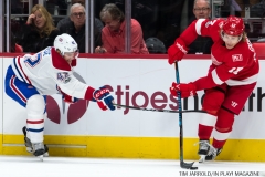 Red Wings vs Montreal Dec 1 2017 (10)