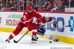Red Wings vs Montreal Dec 1 2017 (12)