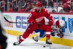 Red Wings vs Montreal Dec 1 2017 (13)