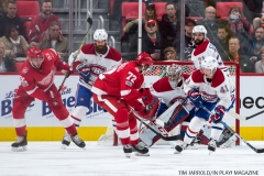 Red Wings vs Montreal Dec 1 2017 (15)