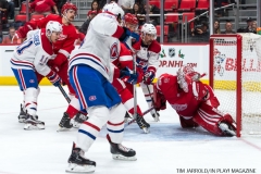 Red Wings vs Montreal Dec 1 2017 (16)