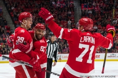 Red Wings vs Montreal Dec 1 2017 (20)