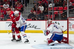 Red Wings vs Montreal Dec 1 2017 (21)