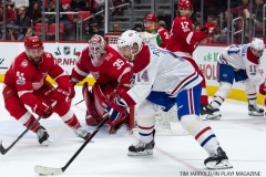 Red Wings vs Montreal Dec 1 2017 (24)