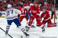 Red Wings vs Montreal Dec 1 2017 (31)
