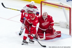 Red Wings vs Montreal Dec 1 2017 (32)