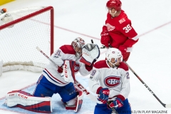 Red Wings vs Montreal Dec 1 2017 (33)