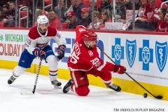 Red Wings vs Montreal Dec 1 2017 (34)