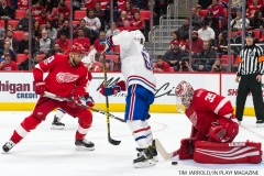Red Wings vs Montreal Dec 1 2017 (40)