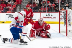 Red Wings vs Montreal Dec 1 2017 (41)