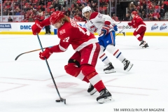 Red Wings vs Montreal Dec 1 2017 (44)