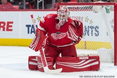 Red Wings vs Ottawa Jan 3 2018 (1)