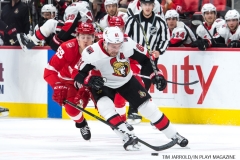 Red Wings vs Ottawa Jan 3 2018 (11)