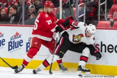 Red Wings vs Ottawa Jan 3 2018 (12)