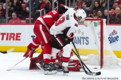 Red Wings vs Ottawa Jan 3 2018 (17)