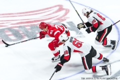 Red Wings vs Ottawa Jan 3 2018 (23)