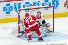 Red Wings vs Ottawa Jan 3 2018 (27)