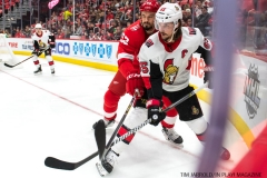Red Wings vs Ottawa Jan 3 2018 (28)