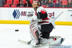 Red Wings vs Ottawa Jan 3 2018 (3)