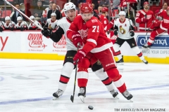 Red Wings vs Ottawa Jan 3 2018 (6)