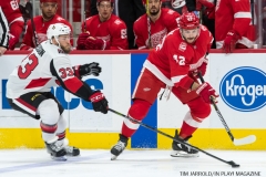 Red Wings vs Ottawa Jan 3 2018 (7)
