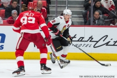 Red Wings vs Ottawa Jan 3 2018 (8)