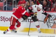 Red Wings vs Ottawa Jan 3 2018 (9)