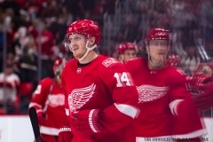 Red Wings vs Penguins Dec 31 2017 (1)