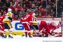 Red Wings vs Penguins Dec 31 2017 (10)