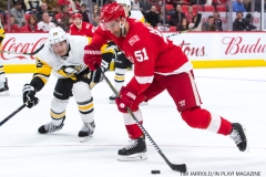 Red Wings vs Penguins Dec 31 2017 (11)