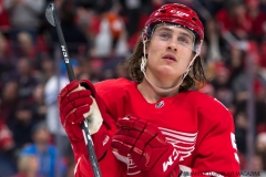 Red Wings vs Penguins Dec 31 2017 (15)