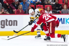 Red Wings vs Penguins Dec 31 2017 (17)