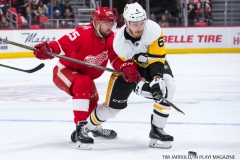 Red Wings vs Penguins Dec 31 2017 (2)
