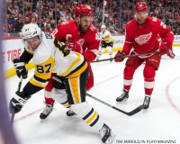 Red Wings vs Penguins Dec 31 2017 (23)