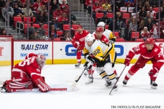 Red Wings vs Penguins Dec 31 2017 (25)