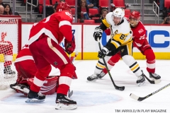 Red Wings vs Penguins Dec 31 2017 (27)
