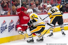 Red Wings vs Penguins Dec 31 2017 (28)
