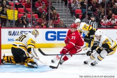 Red Wings vs Penguins Dec 31 2017 (3)