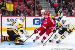 Red Wings vs Penguins Dec 31 2017 (4)