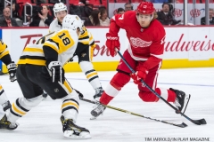 Red Wings vs Penguins Dec 31 2017 (6)
