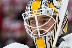 Red Wings vs Penguins Dec 31 2017 (7)