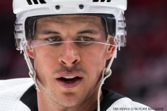 Red Wings vs Penguins Dec 31 2017 (8)